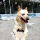 리버하우스 이미지