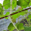 힐하우스펜션 이미지