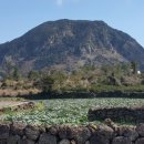 산방산에 펜션 이미지