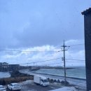 제주많은다홍 | DAY 2-1. 제주여행 | 제주 동문시장 나들이 / 스시도모다찌 칠성점