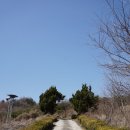 곡산부원군 연사종 묘소 | 2025년 3월 14일 [충청북도 증평군 답사] - 연사종 묘역