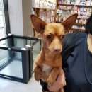 미성파출소 이미지