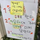세종 맛집 돈스 토요일 오픈런 후기 (+주차 정보)