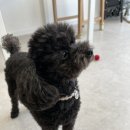 먼지.zip 이미지