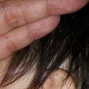 서울장신대학교 자연치유선교대학원 이미지