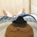 금충한의원 네이버블로그