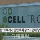 국제이엔지태양광발전소 이미지