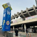 라페스타콘테축제함께 | 2026 부천페스타 봄꽃여행-푸트트럭, 부스, 원미산진달래동산 나들이🌸(26.03.29 개화 상황)