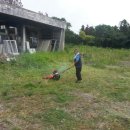 서귀포교회 이미지