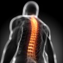 화정마디탑정형외과의원 이미지