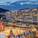 스플라스리솜 이미지