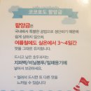코코호도시흥플랑드르점