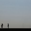 오후만있던일요일 이미지