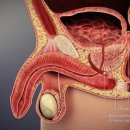 올바른비뇨의학과의원 이미지