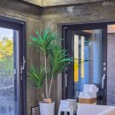 제주감성숙소 동쪽독채펜션 휴운 이미지