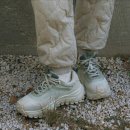 유한회사 그린피크 | 스노우피크 랜더 하이어 트레킹 운동화 review 🏃‍♂️🏃‍♀️💨