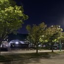 노적봉 도당지 | 안산 데이트 추천 노적봉인공폭포공원 야경 산책 솔직 후기
