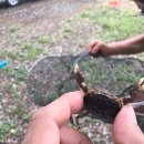 거제도집 이미지