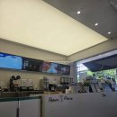 [차백도 시흥정왕역점] 망고 포멜로 사고 내돈내산 차백도 메뉴 추천 CHA PANDA
