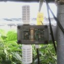 삼봉농장 이미지