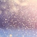 라인댄스(야) 이미지