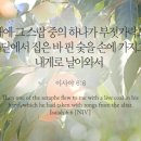 스랍(seraphs) 이미지