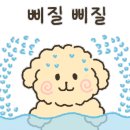 몽이미용실 이미지