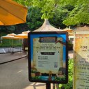 하이에나 | [경기여행]에버랜드 여행 18개월 아기랑, 리버트레일 예약 방문 후기(코끼리, 기린, 하이에나 등)