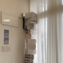 베럴나우케이크 | 울산 브라이덜샤워 케이크::베럴나우케이크