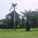 황제골프클럽 | 가장 많이 갔던 골프장, 뽄독짜베 골프클럽 후기 ⛳Pondok Cabe Golf Club | 주재원이라면 한번쯤 고민해...