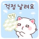 투게더국제결혼 이미지