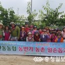 새미래농장 이미지