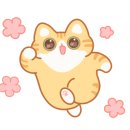 포유동물병원 이미지