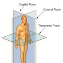 그레이 쿡의 JOINT-BY-JOINT APPROACH (1) 이미지