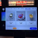 똥꼬집 | 동탄 술집 미스터똥꼬 통통한 닭발과 살코기 많은 오돌뼈 맛집 추천