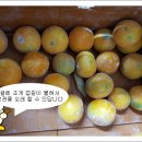 주훈농장 네이버블로그