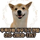 한숲로33번길 이미지