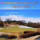 라헨느CC | [제주골프] 겨울에도 따뜻한 제주골프장? 저지대라 바람 적은 라헨느CC 라운딩 솔직후기