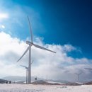 눈꽃안경 | [등산코스] 눈꽃산행의 성지 | 선자령 겨울 초보 등산코스