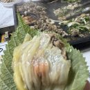 진심오리 티스토리