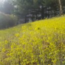 윤후동물병원 이미지