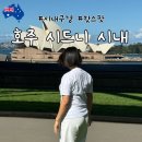 민토피아