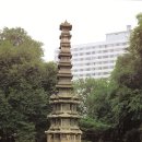 신영산 | 나는 내 눈으로 본 진실을 노래할 뿐이다