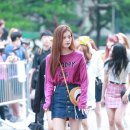 도연