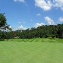 골프존카운티 드래곤 이미지