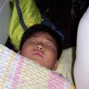 청조원2 이미지