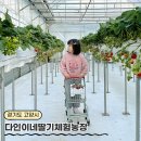 다인농장2 이미지