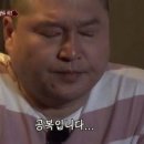 도키요거트