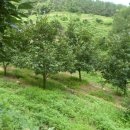 순양농장 이미지