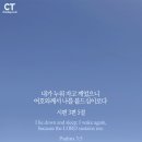오늘 이미지